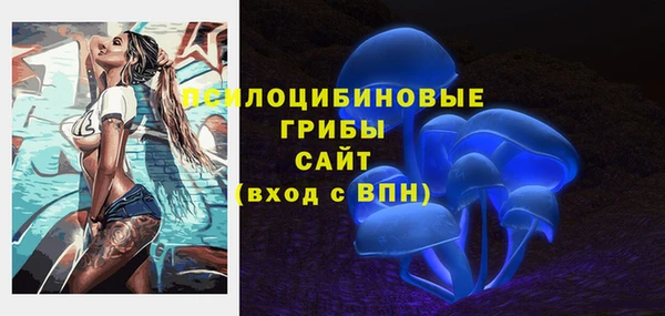 дмт Приозерск